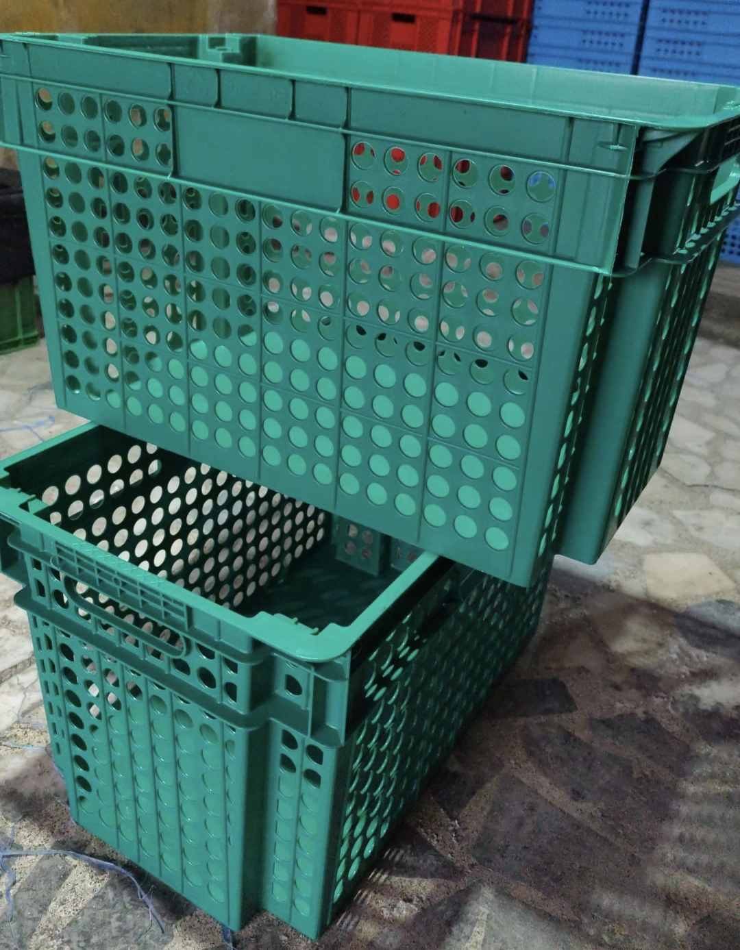 Yeşil Ekmek Kasası